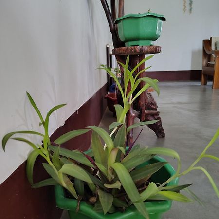 דיברוגר Gayatri Homestay מראה חיצוני תמונה